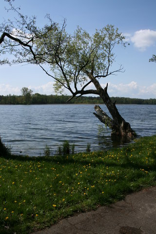 gal/pyrkomania - 1-4.05.08/small-IMG_2905.JPG